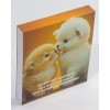 BLOCOS DE ANOTAÇÕES 90 x 78 mm FLORES/ANIMAIS (KIT 15 UN) - VALOR UNITÁRIO R$ 3,30 - R$ 2,90