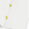 PASTA COM ORELHA - 