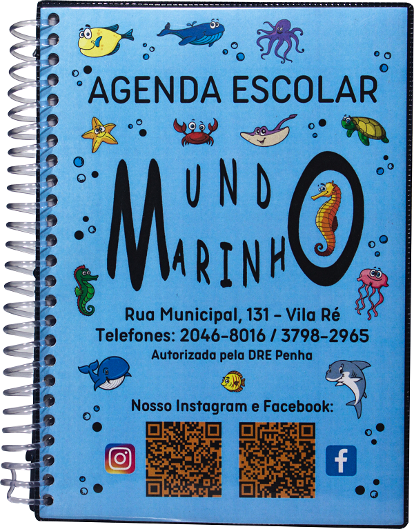 Ag. Escolar Miolo Personalizado Com 100 Folhas Impressão 1 Cor. A partir de R$ 21,90